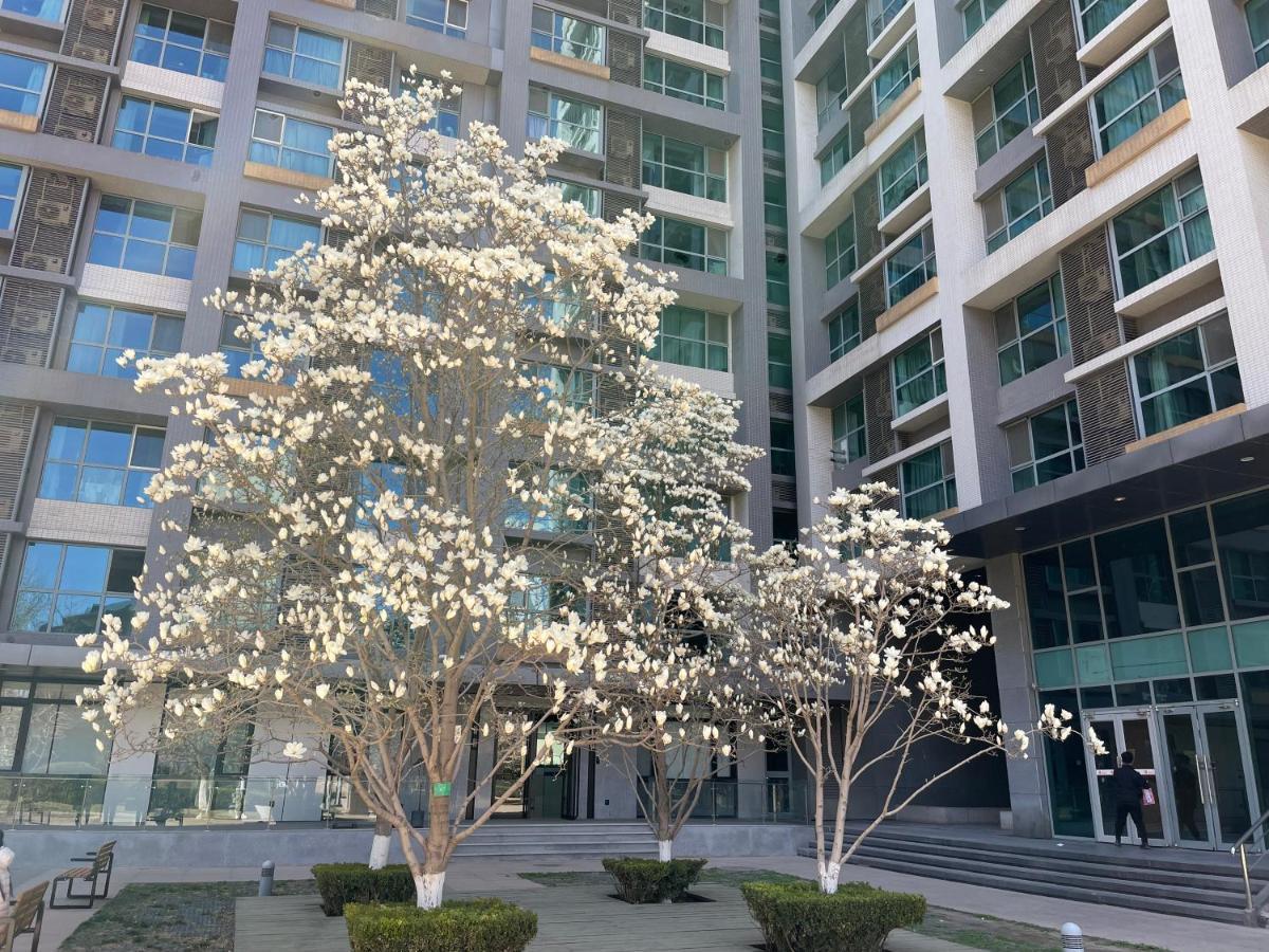 Beijing Elegant Seasons Park Apartment Екстер'єр фото